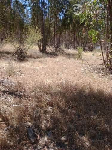 Venta de Parcela 10,2 Htas. en Ruta a Rapel de Navidad
