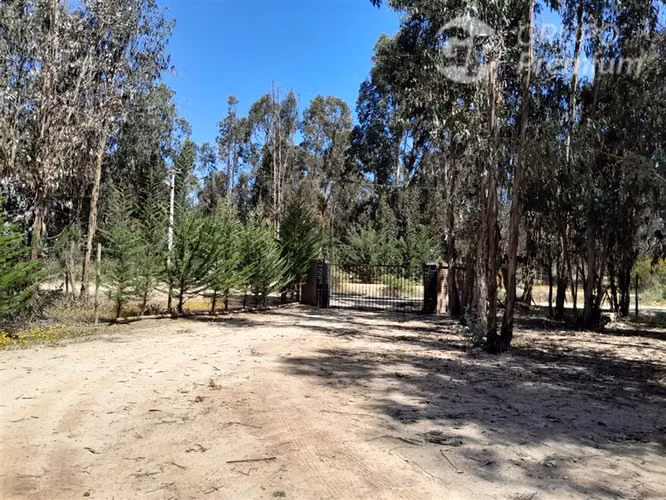 Excelente casa en venta de 4 dorm. en Zapallar