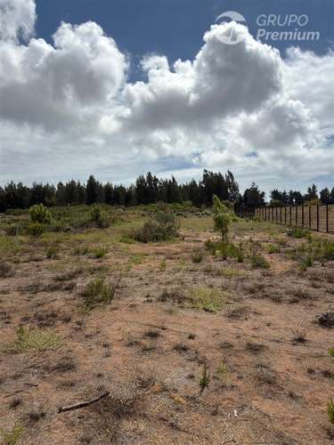 Terreno Construccion en venta en Puchuncaví - Imagen 14