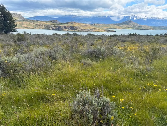 Parcela en venta en Laguna Sofía de Natales