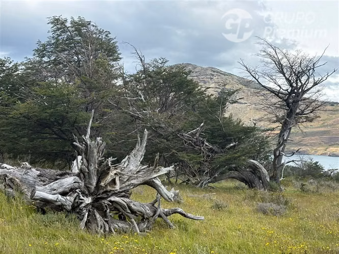 Parcela en venta en Laguna Sofía de Natales