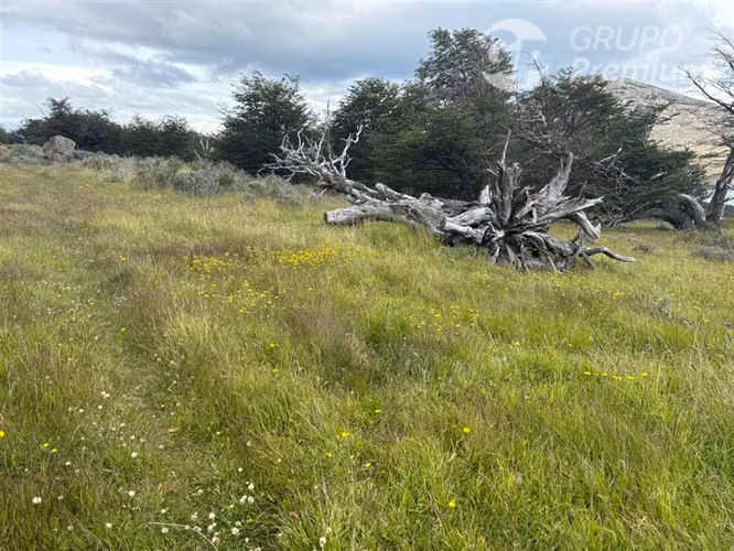 Parcela en venta en Laguna Sofía de Natales