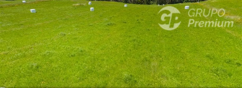 Parcela en venta en Paillaco - Imagen 4