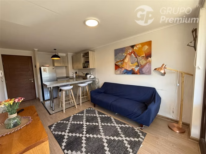 Venta Depto 2D 2B con vista lago- Villarrica - Imagen 7