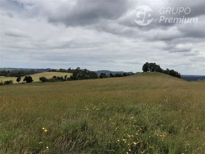 Parcela en venta en Puerto Varas - Imagen 3