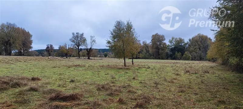 Agrícola con Casa en venta en Yungay