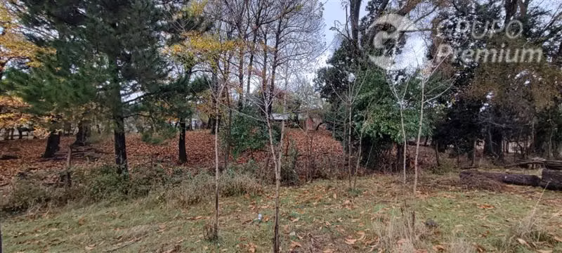 Agrícola con Casa en venta en Yungay
