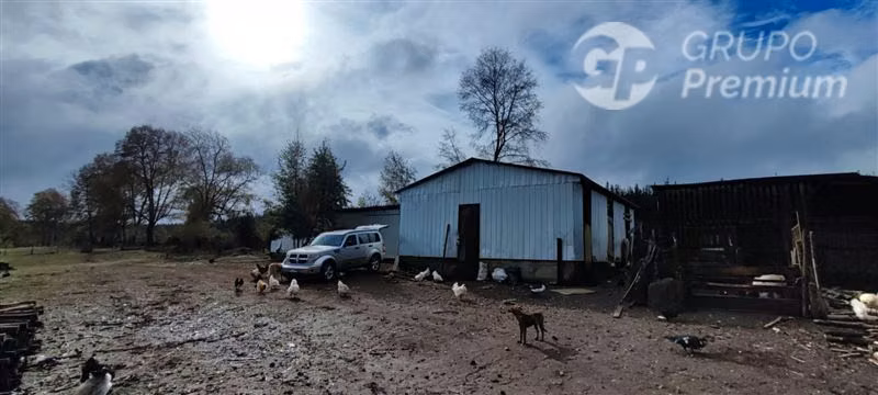 Agrícola con Casa en venta en Yungay