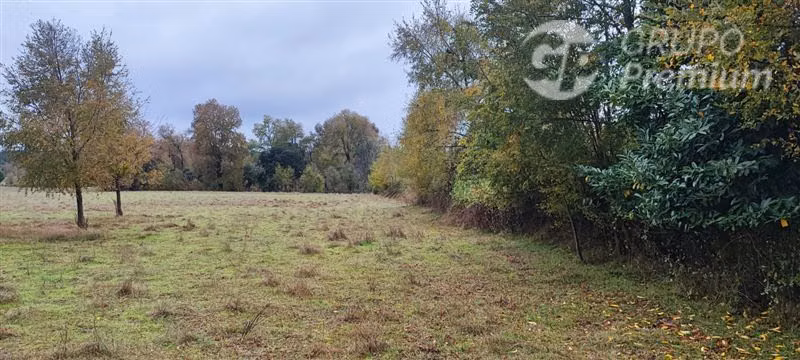 Agrícola con Casa en venta en Yungay