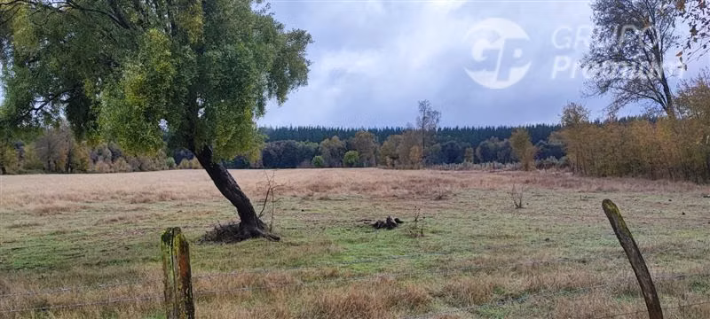 Agrícola con Casa en venta en Yungay