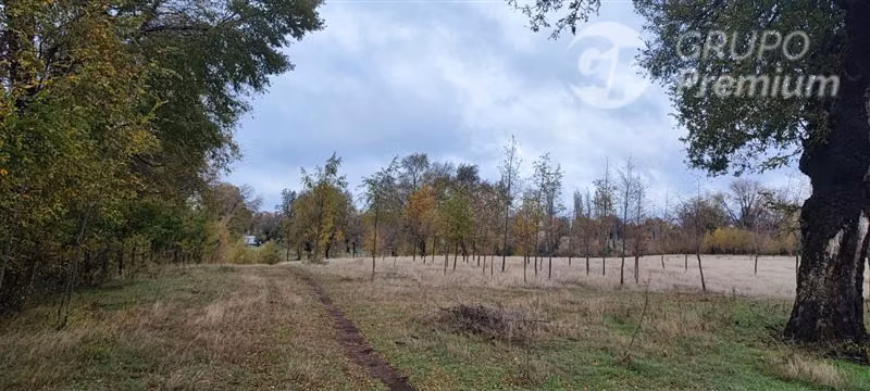 Agrícola con Casa en venta en Yungay