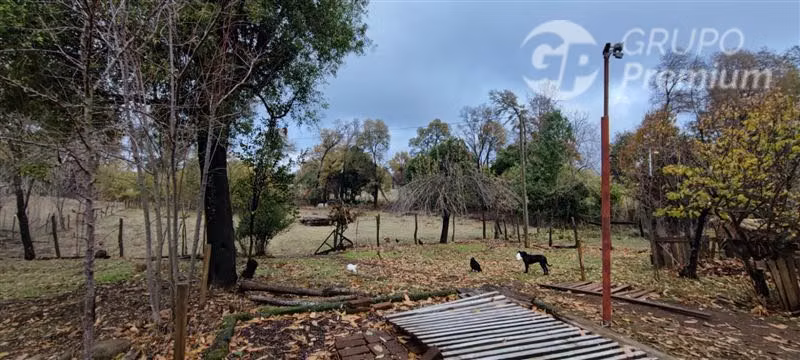 Agrícola con Casa en venta en Yungay