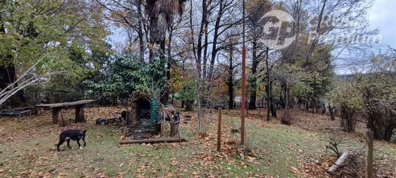 Agrícola con Casa en venta en Yungay