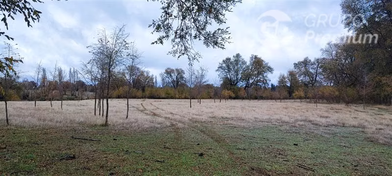 Agrícola con Casa en venta en Yungay
