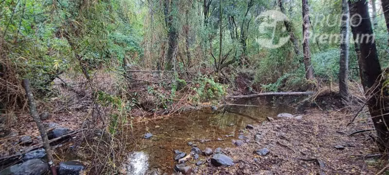 Agrícola con Casa en venta en Yungay