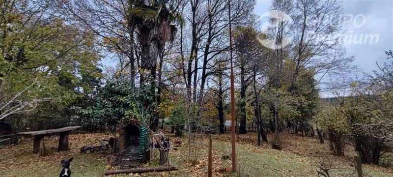 Agrícola con Casa en venta en Yungay