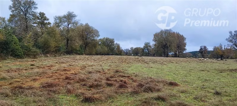Agrícola con Casa en venta en Yungay