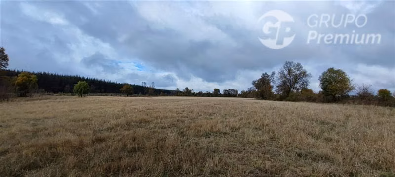 Agrícola con Casa en venta en Yungay