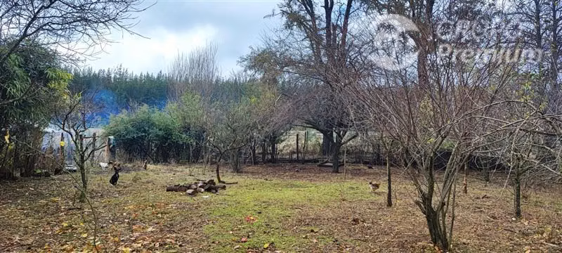 Agrícola con Casa en venta en Yungay