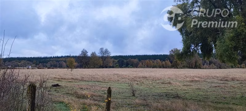 Agrícola con Casa en venta en Yungay