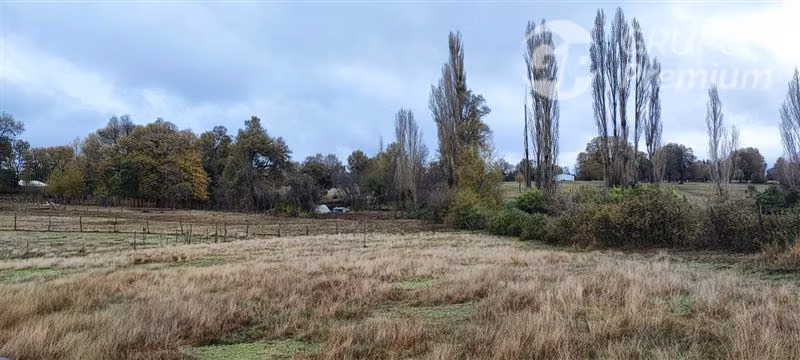 Agrícola con Casa en venta en Yungay