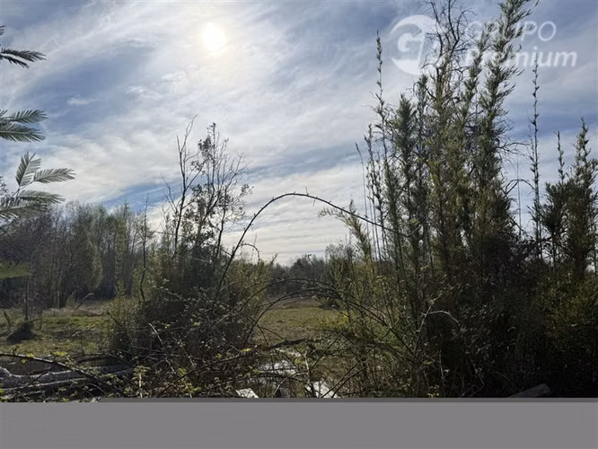 Venta-Parcela-Villarrica-agua y energía eléctrica-lista