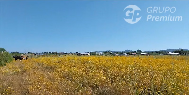 Parcelas en venta Loteo Santa Sofía, Camino a Vilches