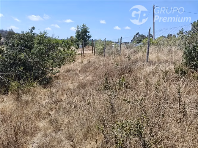 Sitio en venta en Altos de la Rudilla - Cartagena - Imagen 4