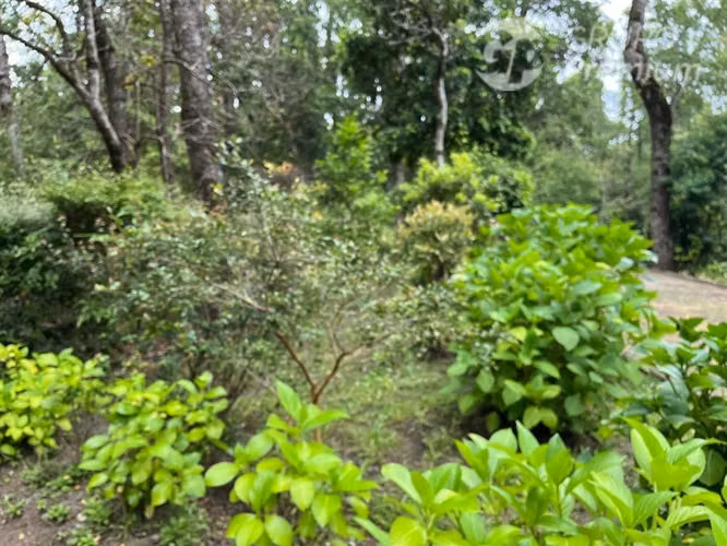 Departamento en venta de 1 dorm. en Pucón - Imagen 17