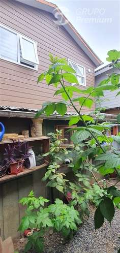 CASA VENDO, 4D. 1B. 1E. INMEJORABLE, LABRANZA COMUNA TEMUCO - Imagen 6