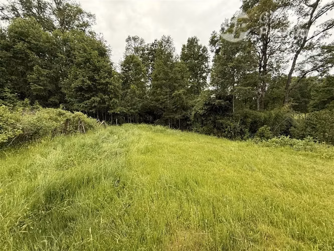 Venta-Parcelas-Villarrica-hermosas, seguras y tranquilidad