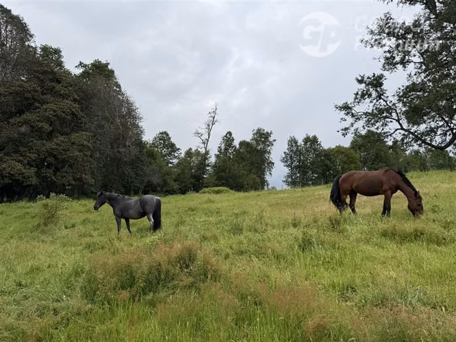 Venta-Parcelas-Villarrica-hermosas, seguras y tranquilidad