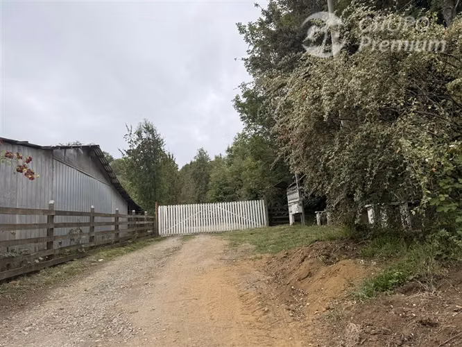 Venta-Parcelas-Villarrica-hermosas, seguras y tranquilidad
