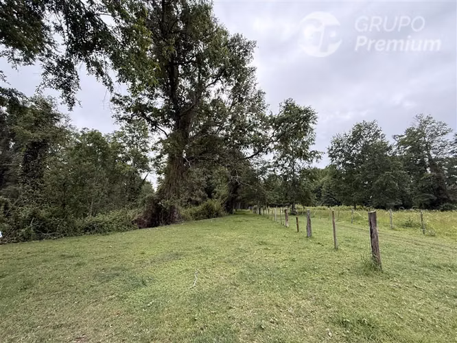 Venta-Parcelas-Villarrica-hermosas, seguras y tranquilidad