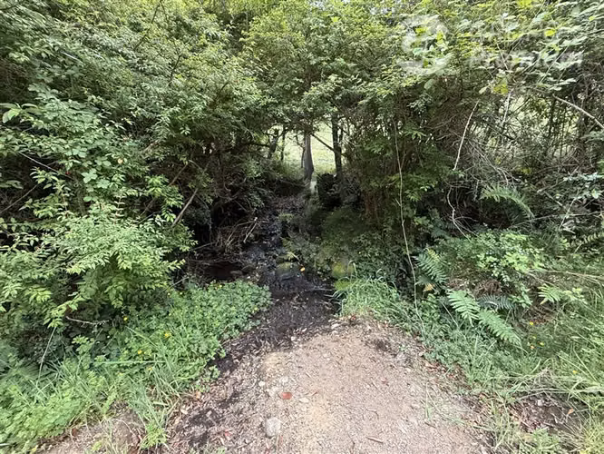 Venta-Parcelas-Villarrica-hermosas, seguras y tranquilidad
