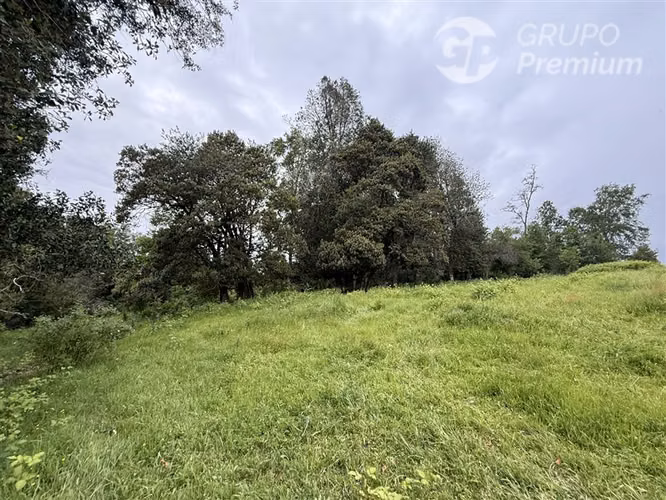 Venta-Parcelas-Villarrica-hermosas, seguras y tranquilidad