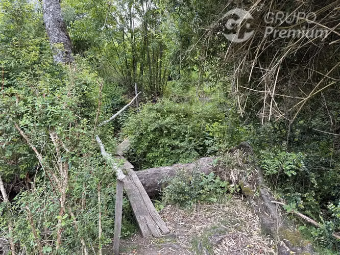 Venta-Parcelas-Villarrica-hermosas, seguras y tranquilidad