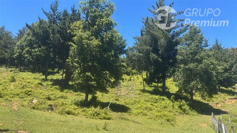 Encatadora Parcela, con amplia casa vendo en Curacautín