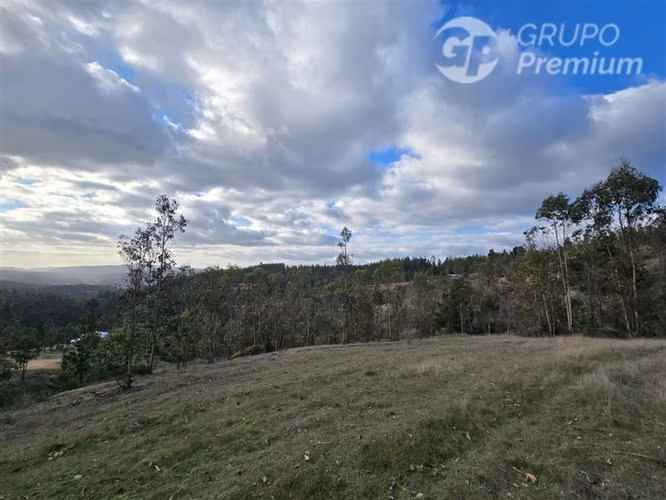 Parcela en venta en Pichilemu - Imagen 9