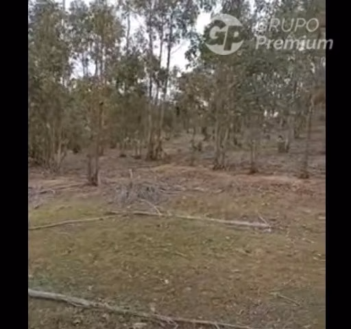 Parcela en venta en Pichilemu - Imagen 12
