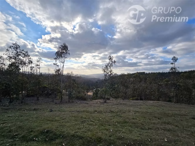 Parcela en venta en Pichilemu - Imagen 4