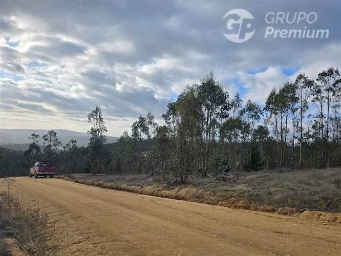 Parcela en venta en Pichilemu - Imagen 10