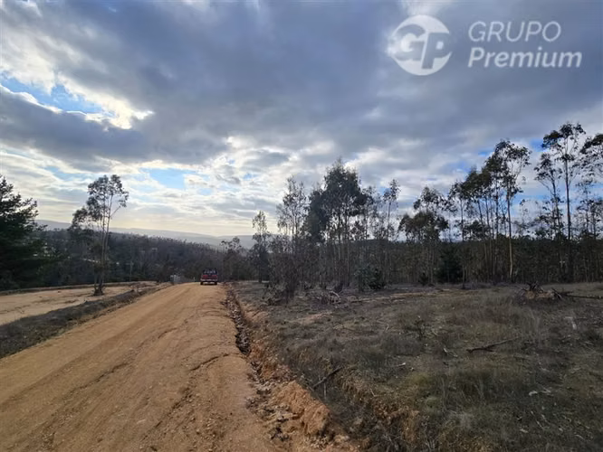 Parcela en venta en Pichilemu - Imagen 15