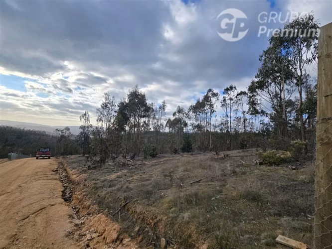 Parcela en venta en Pichilemu - Imagen 5