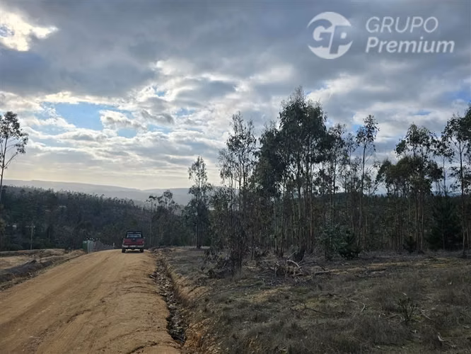 Parcela en venta en Pichilemu - Imagen 11