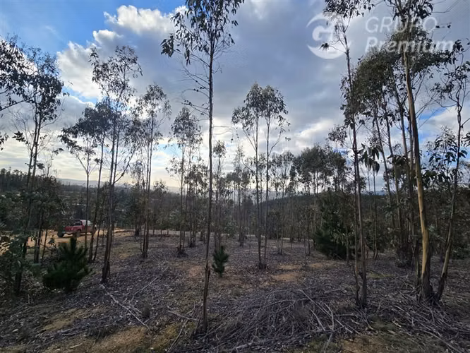 Parcela en venta en Pichilemu - Imagen 7