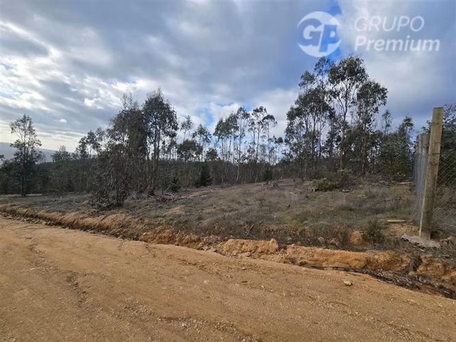 Parcela en venta en Pichilemu - Imagen 6