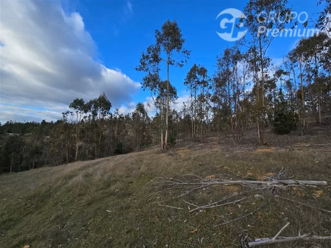 Parcela en venta en Pichilemu - Imagen 8