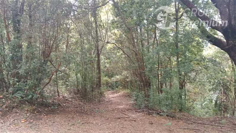 Parcela en venta en Pucón