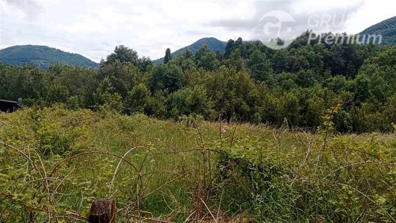 Parcela en venta en Pucón - Imagen 3